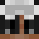epicguy55's Minecraft skin