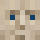 Stonkness Minecraft head