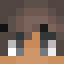 Minecraft players skin
