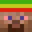 Minecraft players skin