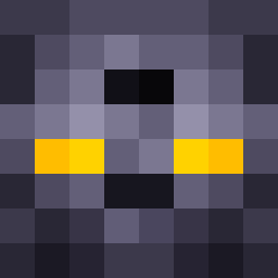 The shop owners Minecraft face