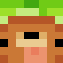 PlewSter_