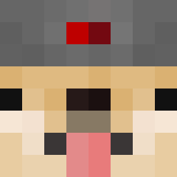 The shop owners Minecraft face