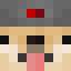 Minecraft players skin