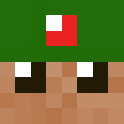 Minecraft profile picture for @Module
