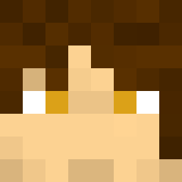 The shop owners Minecraft face