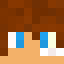 Minecraft players skin