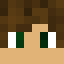 Minecraft players skin