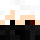 PRO_NSG Minecraft head