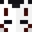 Minecraft players skin