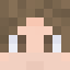 Minecraft players skin