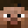 pous