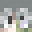 Minecraft avatar for Pixelcraft0212