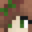 Minecraft avatar for _N1catchfools