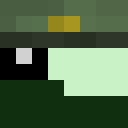 Hinkepica