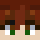 BarrBoy Minecraft head
