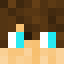 Minecraft players skin