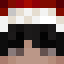 _voger