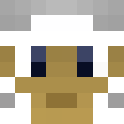 Minecraft profile picture for @Incubation