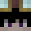 Minecraft players skin