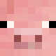 avatar Pig skin