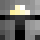 USHBA Minecraft head