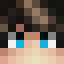 Minecraft players skin