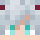 daninja_75 Minecraft head