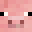 Spartenpig