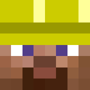 Minecraft profile picture for @McHaver