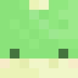 The shop owners Minecraft face