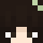 btpd Minecraft head