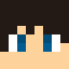 Minecraft players skin