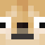 NotDoggo