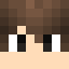 Minecraft players skin