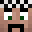 AH1010 Minecraft avatar