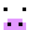 AMDUSER