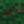 Acorn_Pie