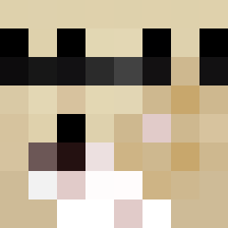 Minecraft Avatar