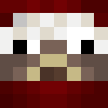 AerialWolf
