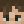 Alex_137