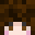 AndaisLu Minecraft avatar