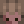 Applesoose