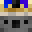 Minecraft head of Arct1cKoala