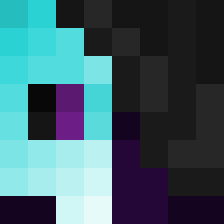 ArcticM0nkey13