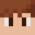 Ariaver Minecraft avatar