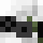 Autopcja_