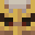 Auze_ Minecraft avatar