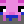 Axolotl_Trader