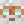 BWinks11